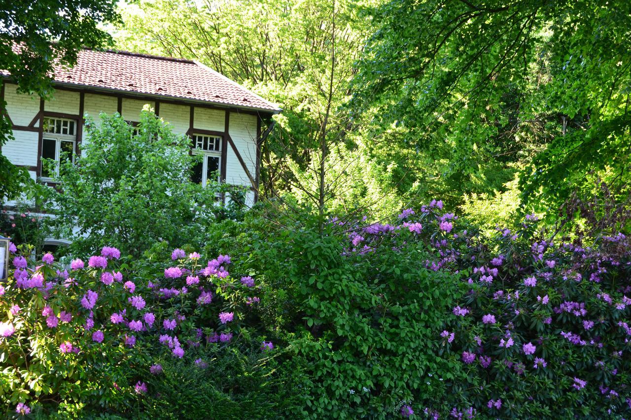 Gottesgabe Hotel Rheine Buitenkant foto