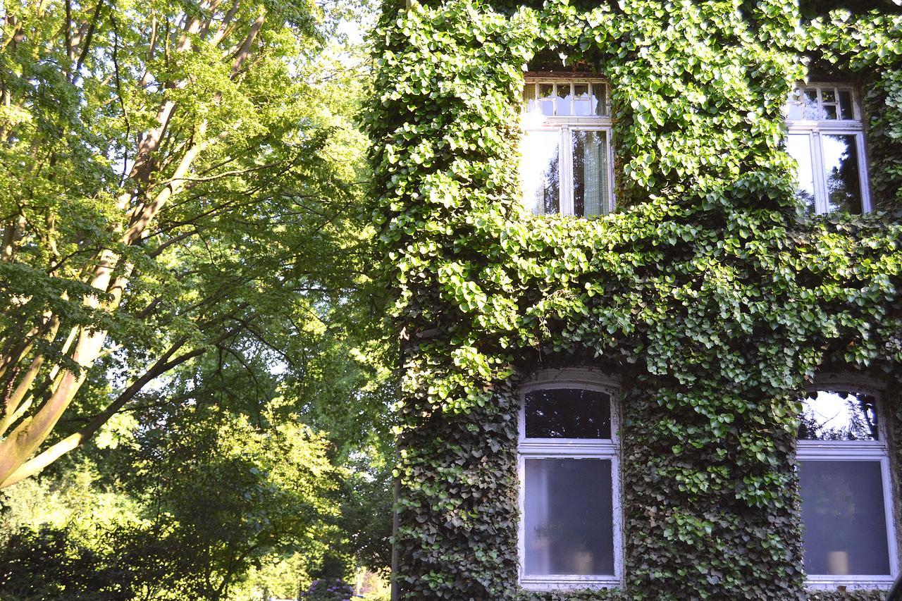 Gottesgabe Hotel Rheine Buitenkant foto